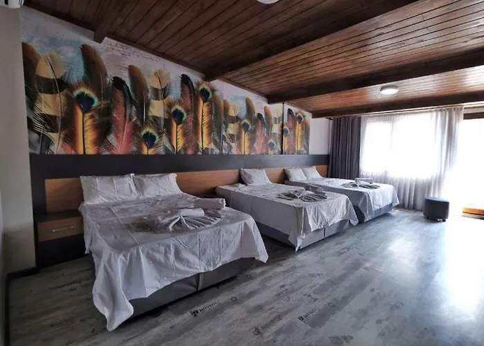 Отель Victorious