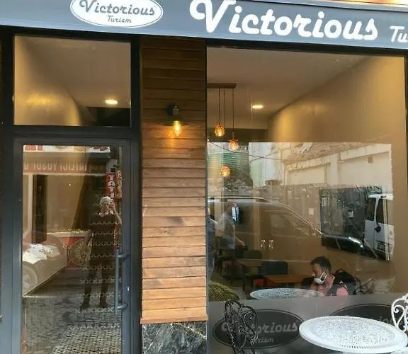 Отель Victorious 2*